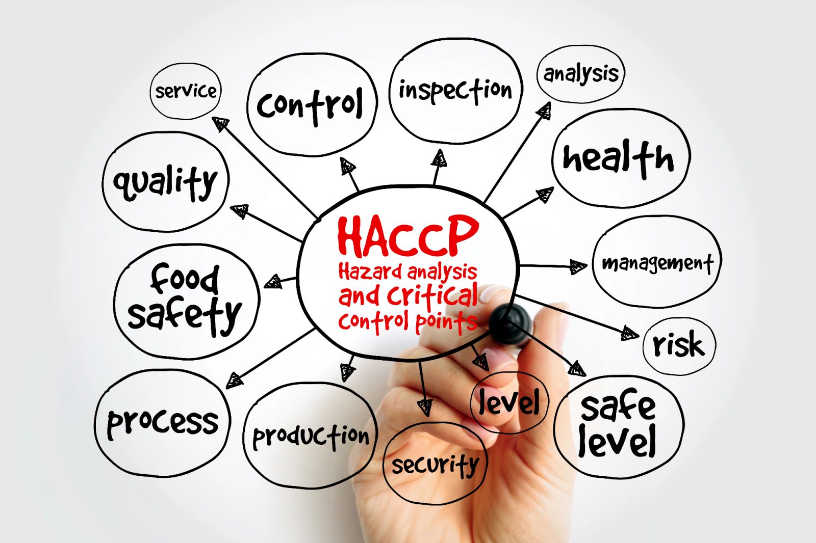 Kako je haccp koristen in povezan z celim podjetjem